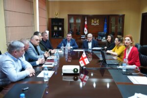 საქართველოს საზოგადოებრივი სადაზღვევო ნაკადულის მთავარის შეხვედრა კახეთში
